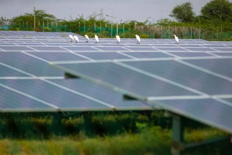 msid 125040991imgsize 24594.cms https://jaipur.visitinrajasthan.com/wp-content/uploads/2023/10/cropped-cropped-R-2.png