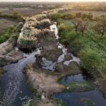 msid 125171615imgsize 99722.cms https://jaipur.visitinrajasthan.com/wp-content/uploads/2023/10/cropped-cropped-R-2.png