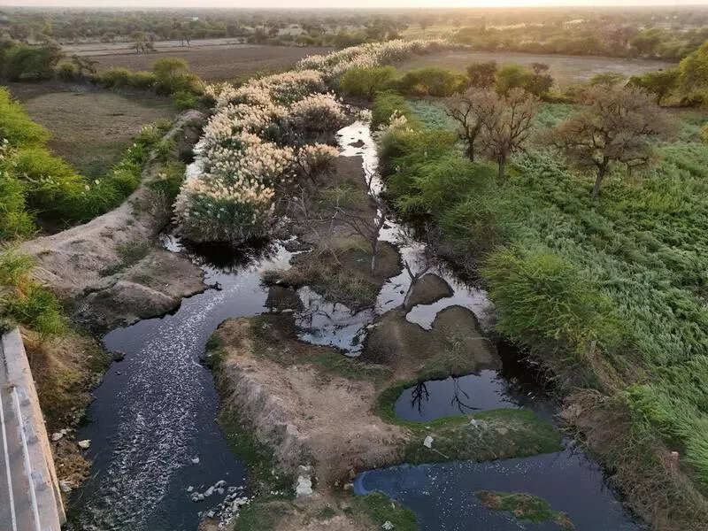 msid 125171615imgsize 99722.cms https://jaipur.visitinrajasthan.com/wp-content/uploads/2023/10/cropped-cropped-R-2.png