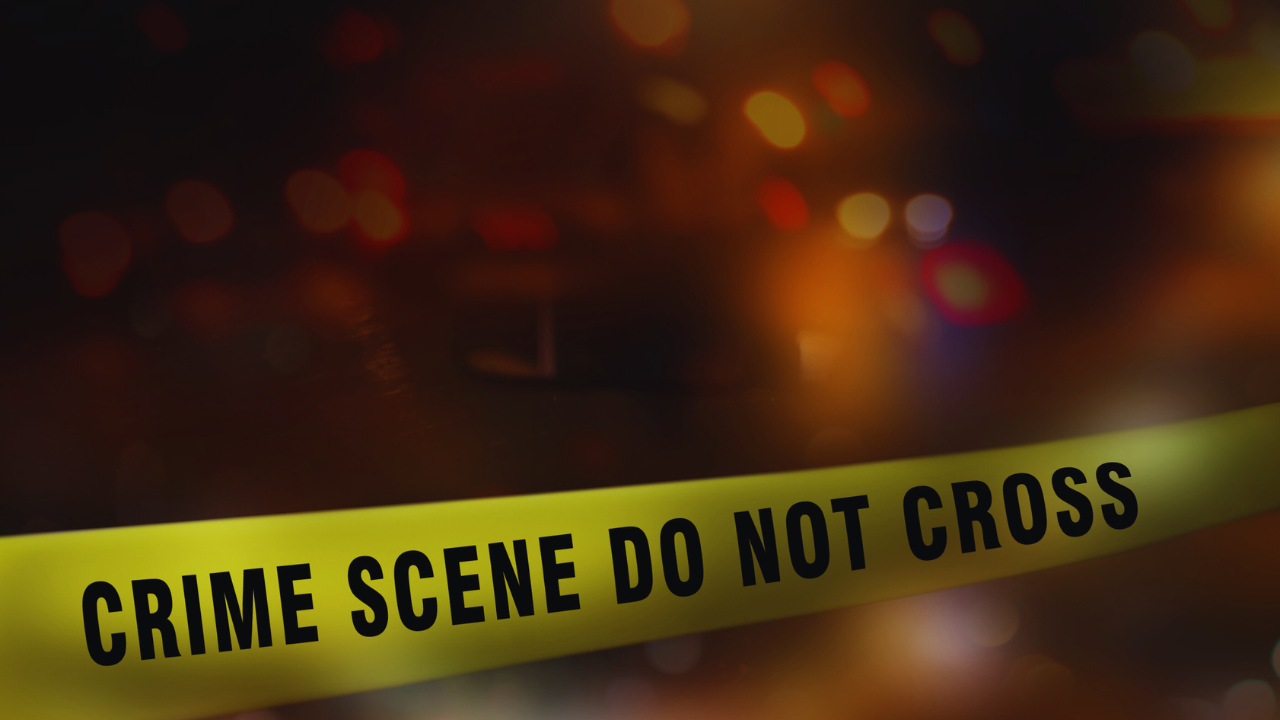 msid 125180976imgsize 1042381.cms https://jaipur.visitinrajasthan.com/wp-content/uploads/2023/10/cropped-cropped-R-2.png