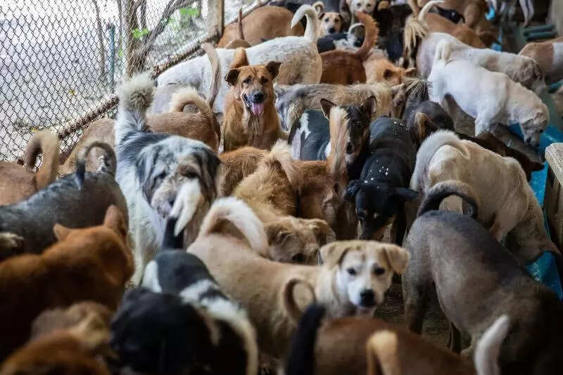 msid 125191143imgsize 58634.cms https://jaipur.visitinrajasthan.com/wp-content/uploads/2023/10/cropped-cropped-R-2.png