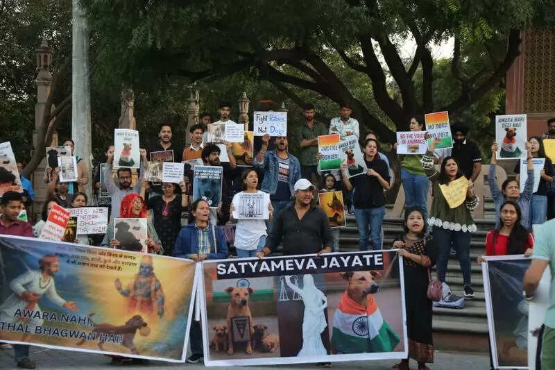 msid 125208593imgsize 66620.cms https://jaipur.visitinrajasthan.com/wp-content/uploads/2023/10/cropped-cropped-R-2.png