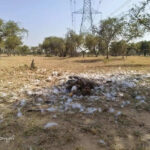 msid 125208851imgsize 116392.cms https://jaipur.visitinrajasthan.com/wp-content/uploads/2023/10/cropped-cropped-R-2.png