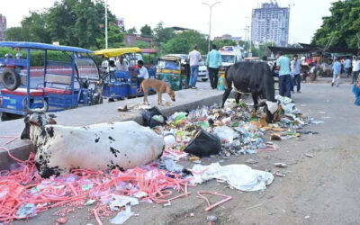 msid 125355235imgsize 92526.cms https://jaipur.visitinrajasthan.com/wp-content/uploads/2023/10/cropped-cropped-R-2.png