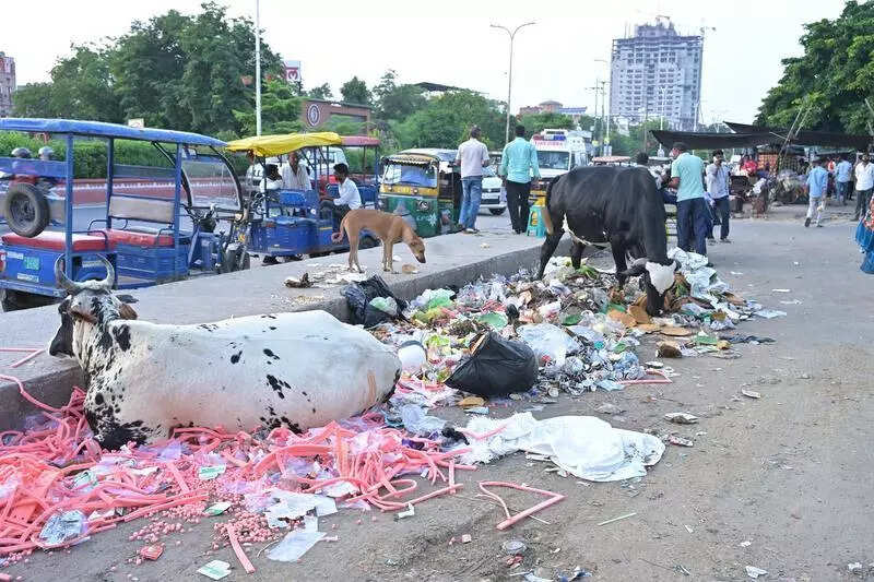 msid 125355235imgsize 92526.cms https://jaipur.visitinrajasthan.com/wp-content/uploads/2023/10/cropped-cropped-R-2.png