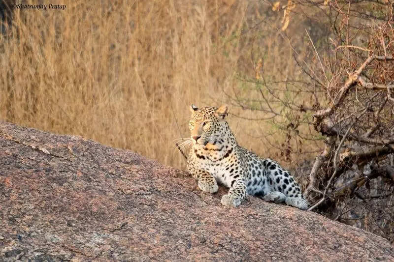 msid 125445797imgsize 86702.cms https://jaipur.visitinrajasthan.com/wp-content/uploads/2023/10/cropped-cropped-R-2.png