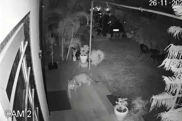 msid 125598338imgsize 25474.cms https://jaipur.visitinrajasthan.com/wp-content/uploads/2023/10/cropped-cropped-R-2.png