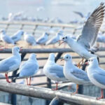 msid 125598429imgsize 39158.cms https://jaipur.visitinrajasthan.com/wp-content/uploads/2023/10/cropped-cropped-R-2.png