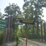 msid 125599055imgsize 100634.cms https://jaipur.visitinrajasthan.com/wp-content/uploads/2023/10/cropped-cropped-R-2.png