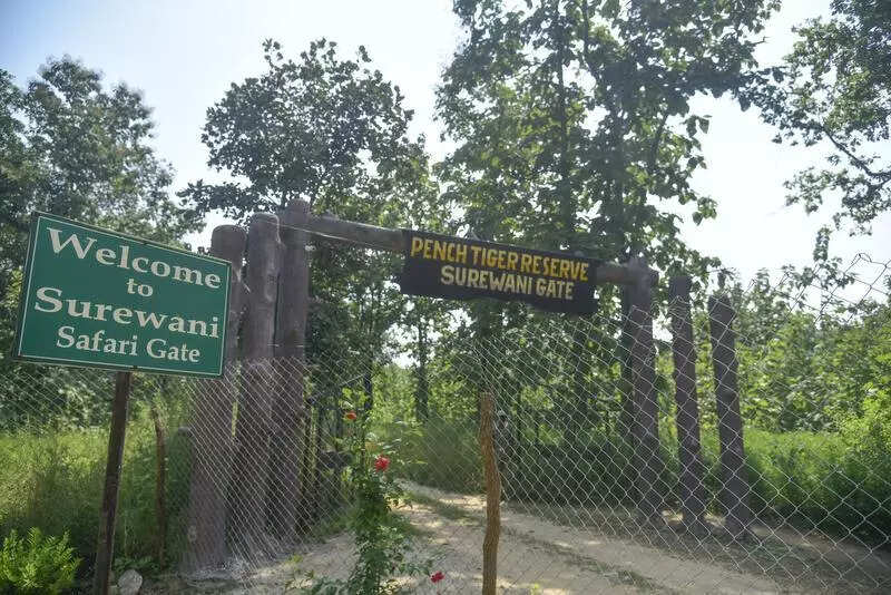 msid 125599055imgsize 100634.cms https://jaipur.visitinrajasthan.com/wp-content/uploads/2023/10/cropped-cropped-R-2.png