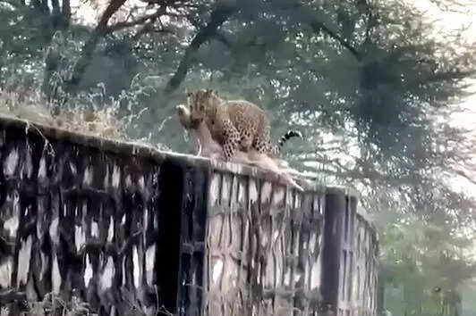 msid 125645712imgsize 30130.cms https://jaipur.visitinrajasthan.com/wp-content/uploads/2023/10/cropped-cropped-R-2.png