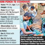 countrys second tiger relocation strengthens rajs big cat landscape https://jaipur.visitinrajasthan.com/wp-content/uploads/2023/10/cropped-cropped-R-2.png