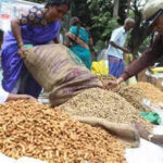 groundnut procurement starts amid fake registration plaints https://jaipur.visitinrajasthan.com/wp-content/uploads/2023/10/cropped-cropped-R-2.png