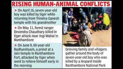 leopard kills 7 yr old boy neartemple at dusk in ranthambore https://jaipur.visitinrajasthan.com/wp-content/uploads/2023/10/cropped-cropped-R-2.png