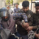 leopard strays into udaipur colony captured after 8 hour operation https://jaipur.visitinrajasthan.com/wp-content/uploads/2023/10/cropped-cropped-R-2.png