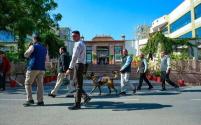 msid 125795144imgsize 79730.cms https://jaipur.visitinrajasthan.com/wp-content/uploads/2023/10/cropped-cropped-R-2.png