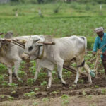 msid 125918402imgsize 68998.cms https://jaipur.visitinrajasthan.com/wp-content/uploads/2023/10/cropped-cropped-R-2.png