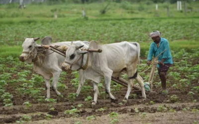 msid 125918402imgsize 68998.cms https://jaipur.visitinrajasthan.com/wp-content/uploads/2023/10/cropped-cropped-R-2.png