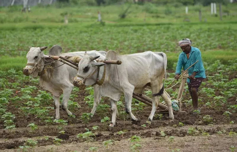 msid 125918402imgsize 68998.cms https://jaipur.visitinrajasthan.com/wp-content/uploads/2023/10/cropped-cropped-R-2.png