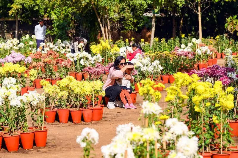 msid 125953038imgsize 114354.cms https://jaipur.visitinrajasthan.com/wp-content/uploads/2023/10/cropped-cropped-R-2.png