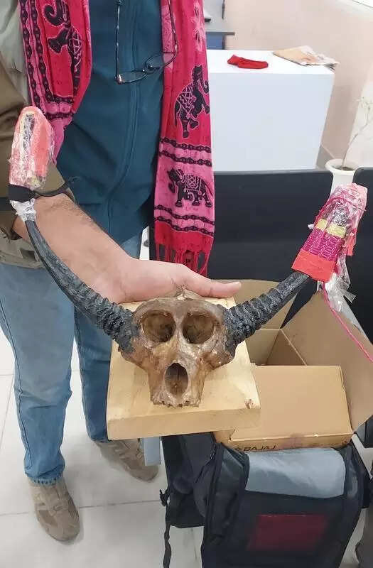 msid 125953779imgsize 38746.cms https://jaipur.visitinrajasthan.com/wp-content/uploads/2023/10/cropped-cropped-R-2.png