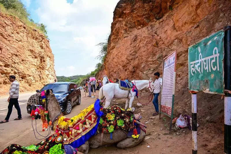 msid 125953782imgsize 99588.cms https://jaipur.visitinrajasthan.com/wp-content/uploads/2023/10/cropped-cropped-R-2.png