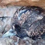 msid 126128167imgsize 49474.cms https://jaipur.visitinrajasthan.com/wp-content/uploads/2023/10/cropped-cropped-R-2.png