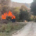 nahargarh safari fleet under inspection after fire in bus https://jaipur.visitinrajasthan.com/wp-content/uploads/2023/10/cropped-cropped-R-2.png