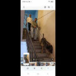 rdx threat at barmer dc office ends in futile explosives search https://jaipur.visitinrajasthan.com/wp-content/uploads/2023/10/cropped-cropped-R-2.png