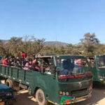 sariska sees throng of year end tourists https://jaipur.visitinrajasthan.com/wp-content/uploads/2023/10/cropped-cropped-R-2.png