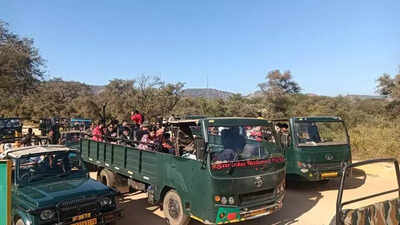 sariska sees throng of year end tourists https://jaipur.visitinrajasthan.com/wp-content/uploads/2023/10/cropped-cropped-R-2.png