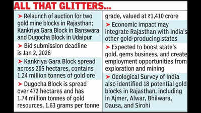 state relaunches auction for 2 gold mine blocks bids to open on jan 2 https://jaipur.visitinrajasthan.com/wp-content/uploads/2023/10/cropped-cropped-R-2.png