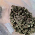 weed from thailand worth rs 1 cr intercepted at foreign post office https://jaipur.visitinrajasthan.com/wp-content/uploads/2023/10/cropped-cropped-R-2.png