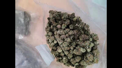 weed from thailand worth rs 1 cr intercepted at foreign post office https://jaipur.visitinrajasthan.com/wp-content/uploads/2023/10/cropped-cropped-R-2.png