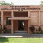 dst project fellows at cazri yet to get stipends dues cross rs 24 lakh https://jaipur.visitinrajasthan.com/wp-content/uploads/2023/10/cropped-cropped-R-2.png