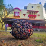 famine or prosperity 80 kg dada reveals in aawa on makar sankranti https://jaipur.visitinrajasthan.com/wp-content/uploads/2023/10/cropped-cropped-R-2.png