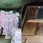 how a tip off and covert surveillance led to rajasthans largest explosives act seizure https://jaipur.visitinrajasthan.com/wp-content/uploads/2023/10/cropped-cropped-R-2.png