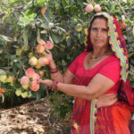 msid 126712357imgsize 97882.cms https://jaipur.visitinrajasthan.com/wp-content/uploads/2023/10/cropped-cropped-R-2.png