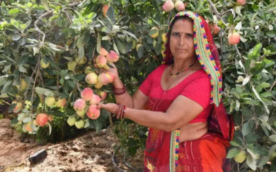 msid 126712357imgsize 97882.cms https://jaipur.visitinrajasthan.com/wp-content/uploads/2023/10/cropped-cropped-R-2.png