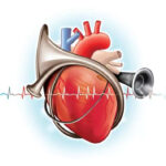 msid 127498951imgsize 22824.cms https://jaipur.visitinrajasthan.com/wp-content/uploads/2023/10/cropped-cropped-R-2.png