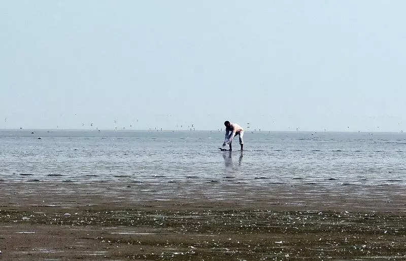 msid 127645662imgsize 49170.cms https://jaipur.visitinrajasthan.com/wp-content/uploads/2023/10/cropped-cropped-R-2.png