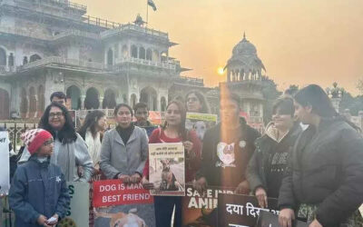 msid 127645988imgsize 47664.cms https://jaipur.visitinrajasthan.com/wp-content/uploads/2023/10/cropped-cropped-R-2.png