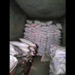 nagaur cops seize 10k kg ammonium nitrate other explosive material 1 held https://jaipur.visitinrajasthan.com/wp-content/uploads/2023/10/cropped-cropped-R-2.png