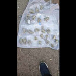 2 held with hydroponic weed worth 80 lakh https://jaipur.visitinrajasthan.com/wp-content/uploads/2023/10/cropped-cropped-R-2.png