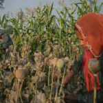 msid 128359555imgsize 99780.cms https://jaipur.visitinrajasthan.com/wp-content/uploads/2023/10/cropped-cropped-R-2.png