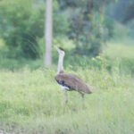 msid 128621848imgsize 25614.cms https://jaipur.visitinrajasthan.com/wp-content/uploads/2023/10/cropped-cropped-R-2.png