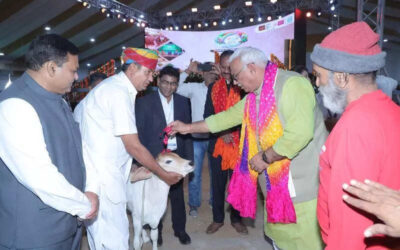 msid 128863532imgsize 50574.cms https://jaipur.visitinrajasthan.com/wp-content/uploads/2023/10/cropped-cropped-R-2.png