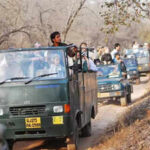 ranthambhore implements mobile phone ban to protect wildlife https://jaipur.visitinrajasthan.com/wp-content/uploads/2023/10/cropped-cropped-R-2.png