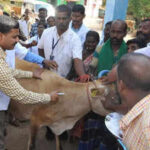 shot in the app ndlm portal flags paper livestock vaccinations https://jaipur.visitinrajasthan.com/wp-content/uploads/2023/10/cropped-cropped-R-2.png
