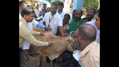 shot in the app ndlm portal flags paper livestock vaccinations https://jaipur.visitinrajasthan.com/wp-content/uploads/2023/10/cropped-cropped-R-2.png